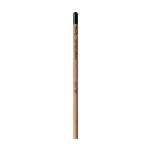 Sproutworld Unsharpened Pencil Bleisstift ungespitzt